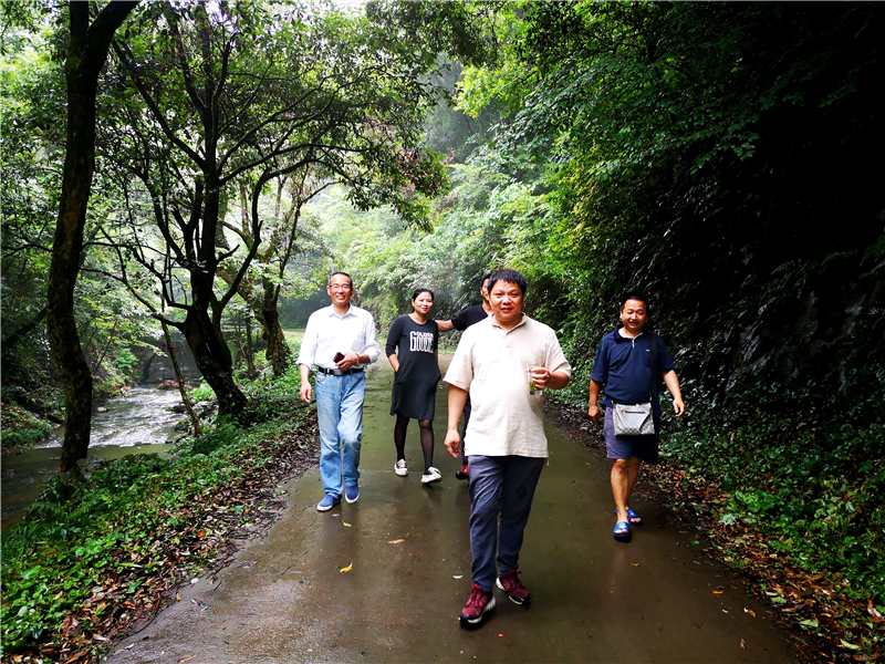 �����²�