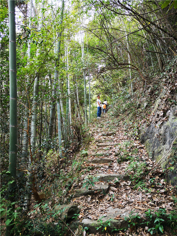 �}��Դ�߳�ɽ