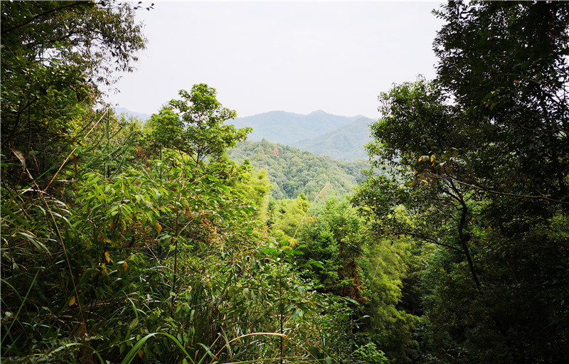 �}��Դ�߳�ɽ