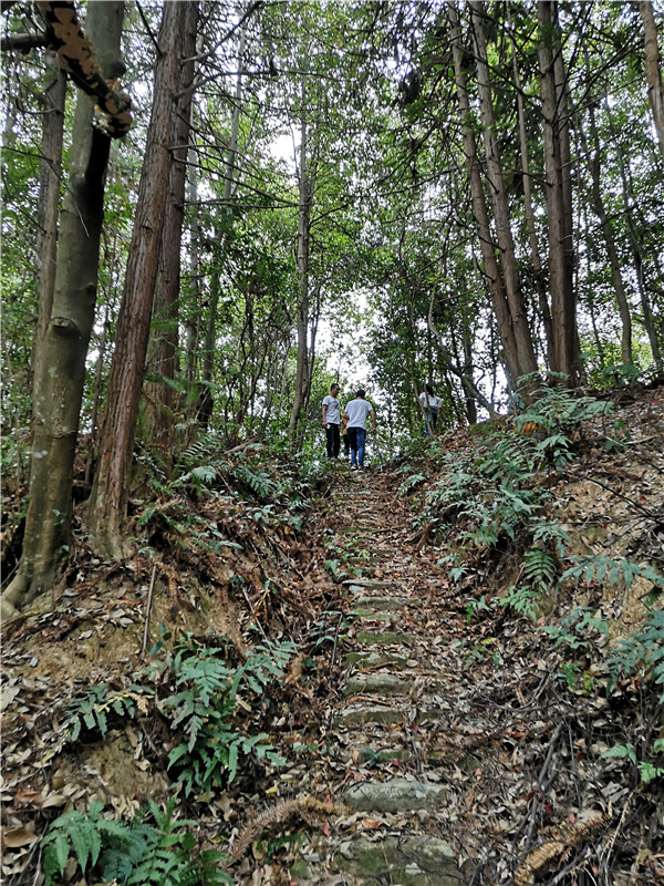 �}��Դ�߳�ɽ