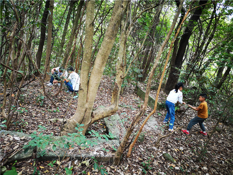 �}��Դ�߳�ɽ