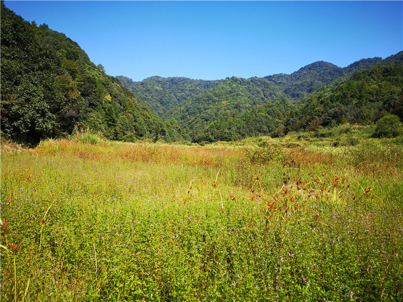 �����@�X