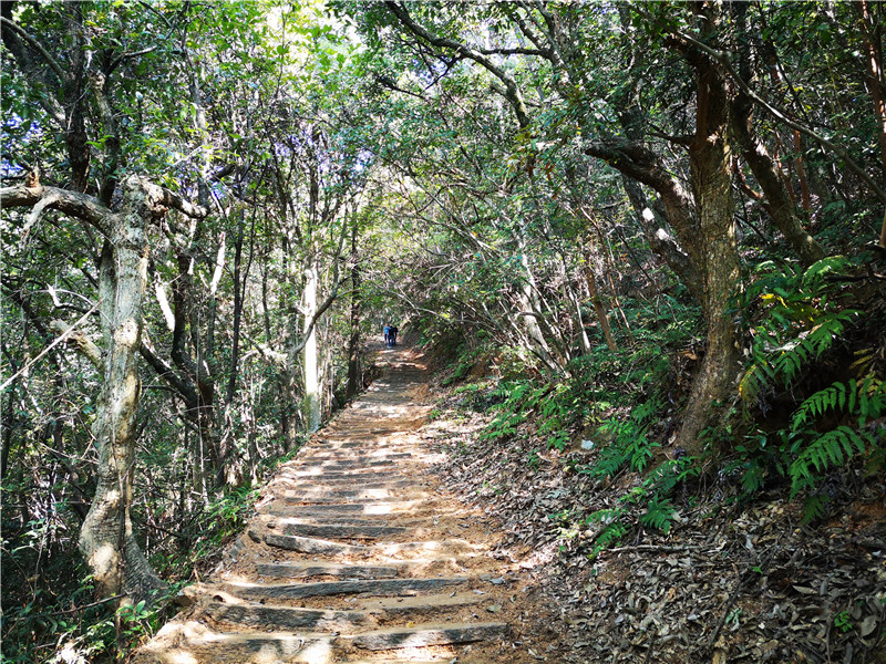 �����@�X