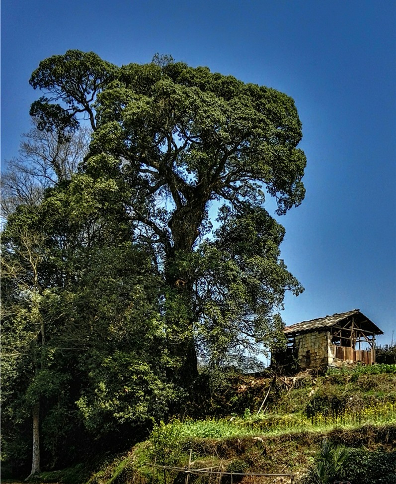 ��Դ���EԊ