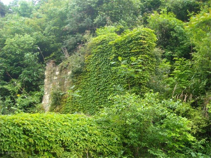 ��Դ���EԊ