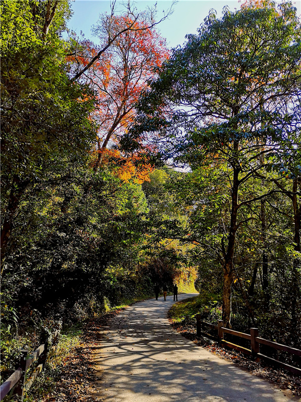 ��ٛ(z��ng)��������ٵ������