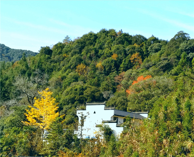 ��ٛ(z��ng)��������ٵ������