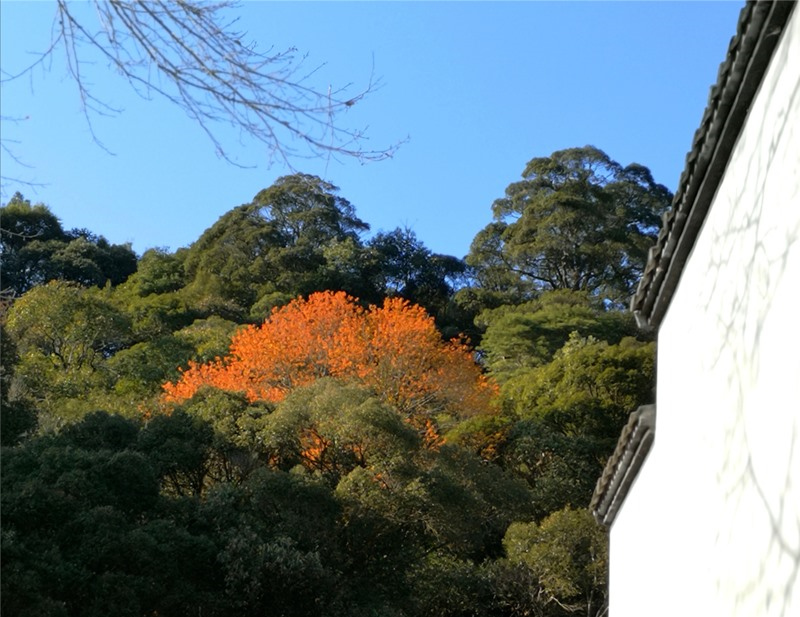 ��ٛ(z��ng)��������ٵ������