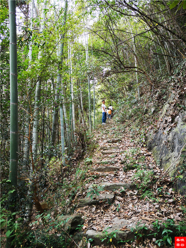 �߳ذ˾���ǰ퍸ĺ��߽^Ԋ 