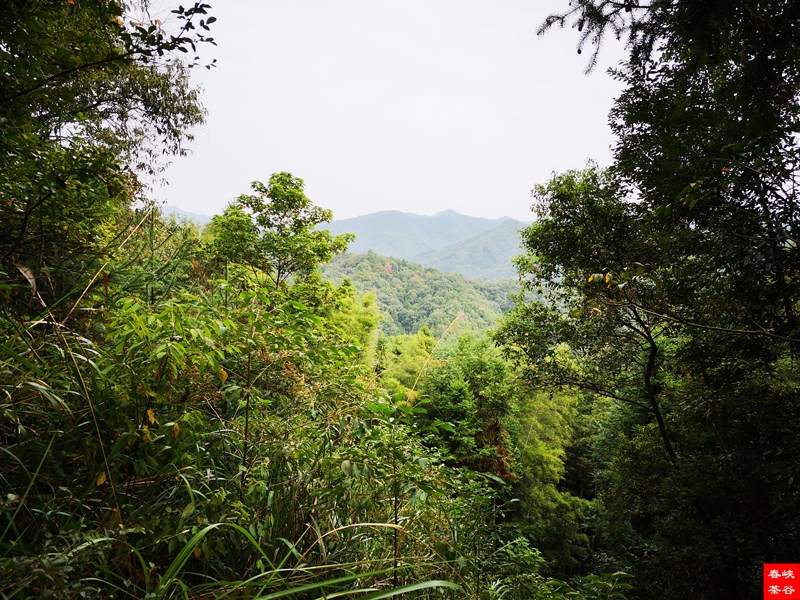 �߳ذ˾���ǰ퍸ĺ��߽^Ԋ 