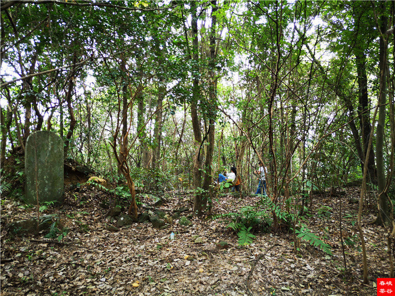 �߳ذ˾���ǰ퍸ĺ��߽^Ԋ 