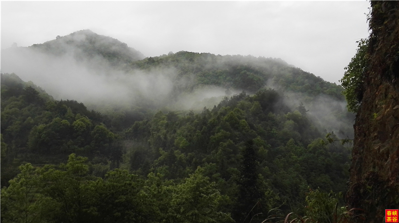 �߳ذ˾���ǰ퍸ĺ��߽^Ԋ 