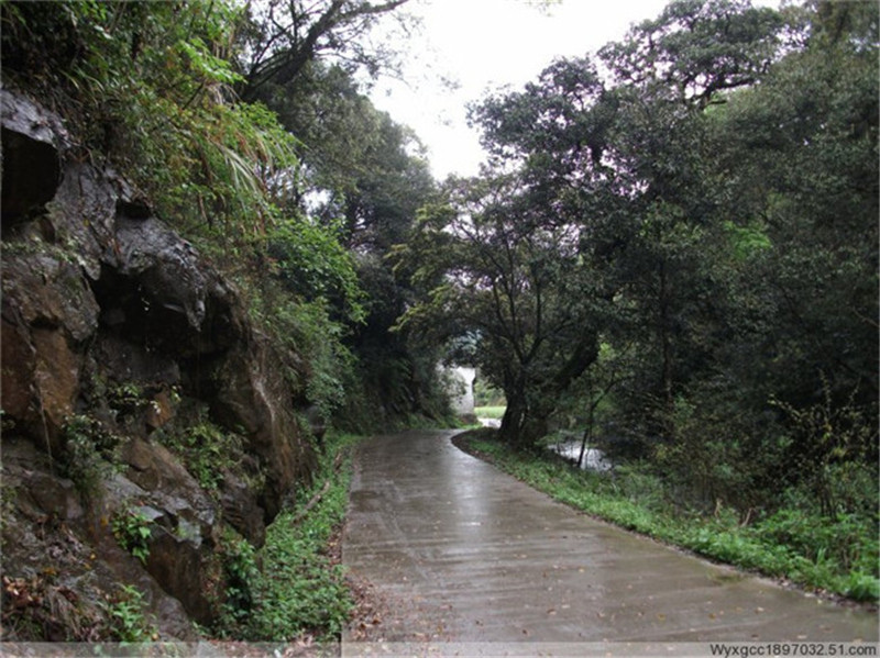 �߳ذ˾���ǰ퍸ĺ��߽^Ԋ 