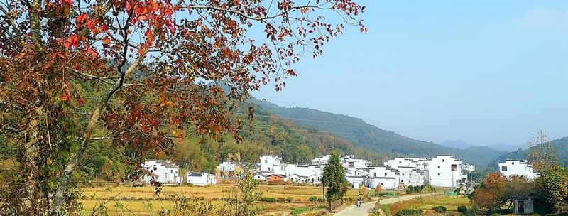 ������l(xi��ng)Ʒ������퍣�