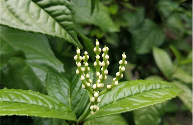 �{�ȴ����