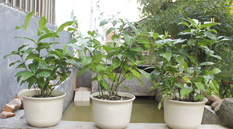 �{�ȴ����