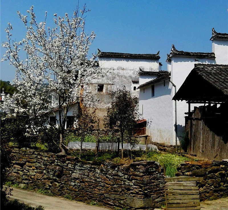 ��Դ��Դ�L��