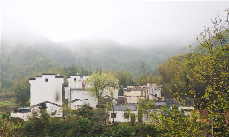 ��Դ��Դ�L��