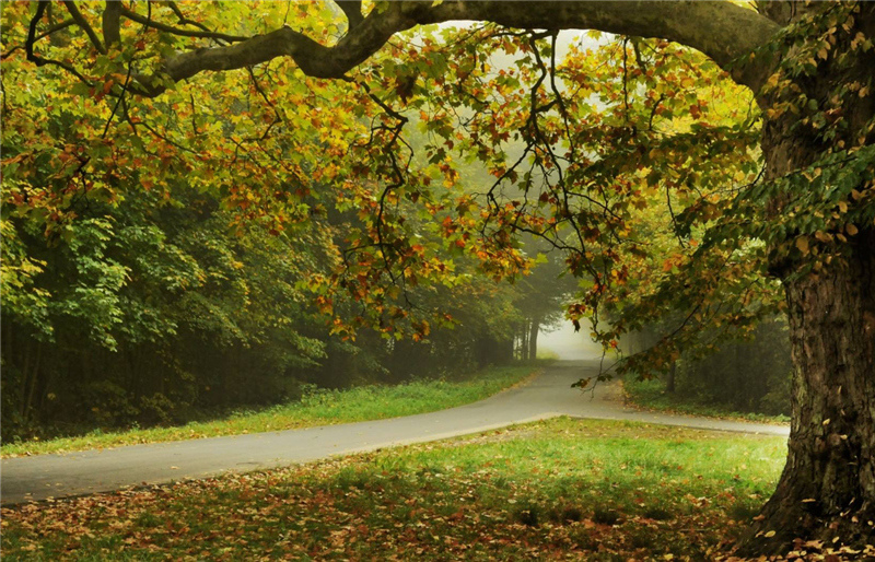 �����S�~�����x�����Ă��� ������