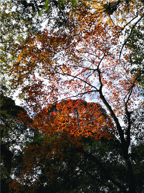 ������Դ