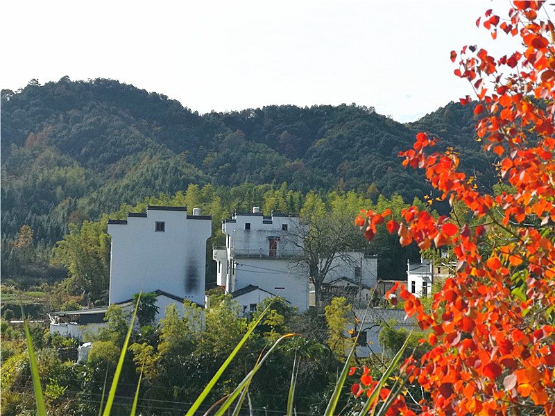 ������Դ