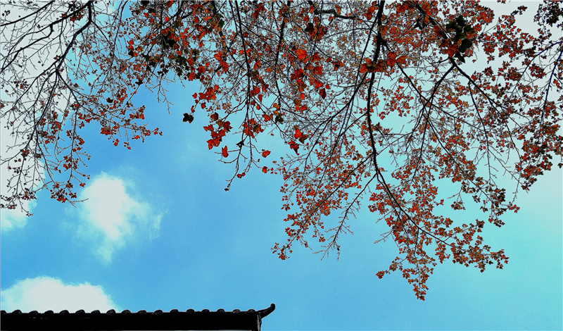 ������Դ