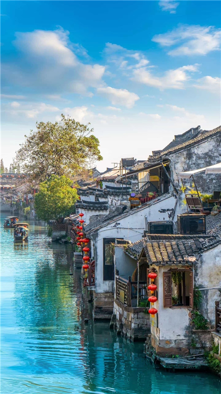 �������Z