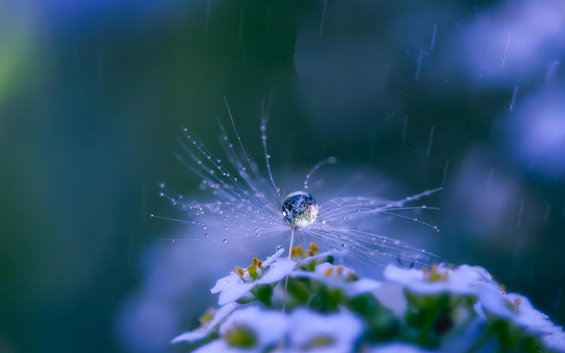 �����Ľ���ʮ��