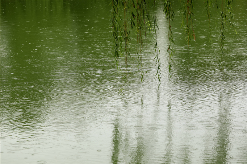 �����Ľ���ʮ��