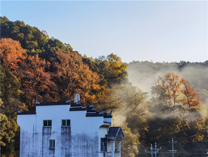 ��β���Næ