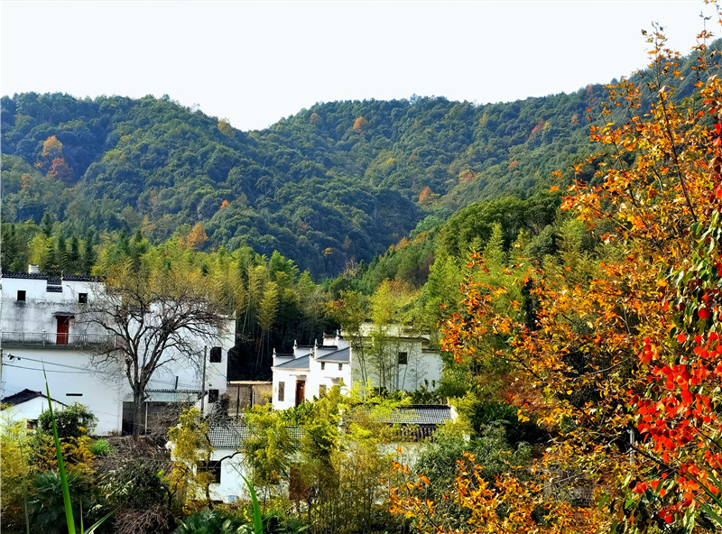 ���l��Դӛ��