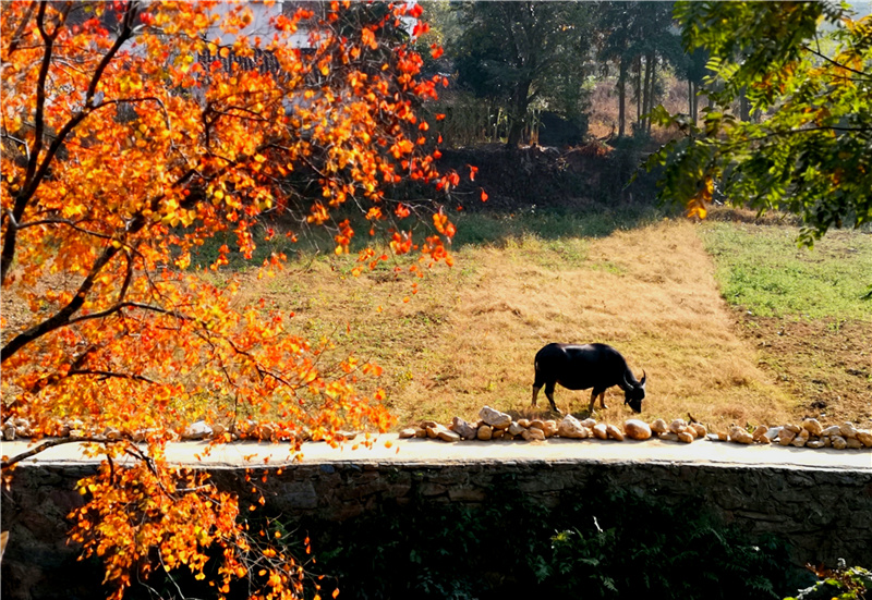 ���l��Դӛ��