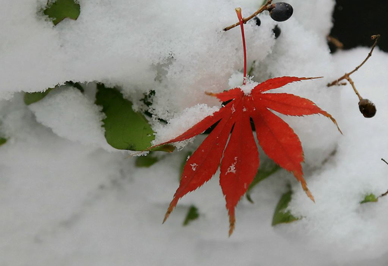 �}��ѩ�t�~�D