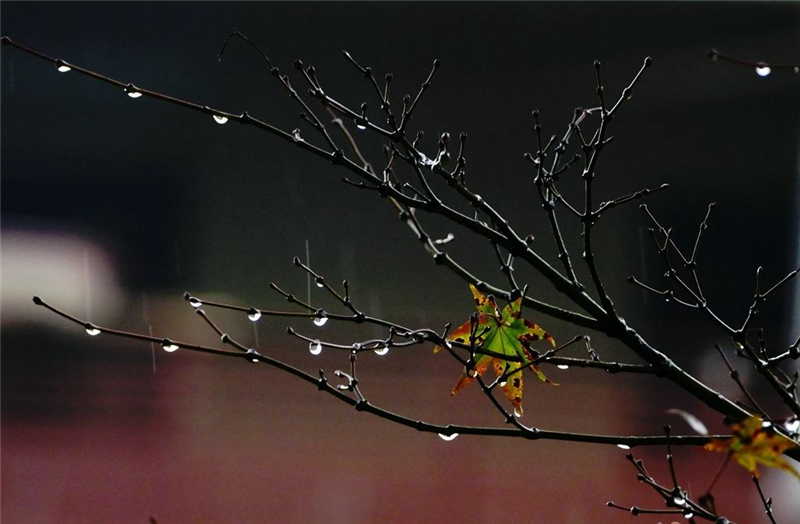 ����������ҹ��o��