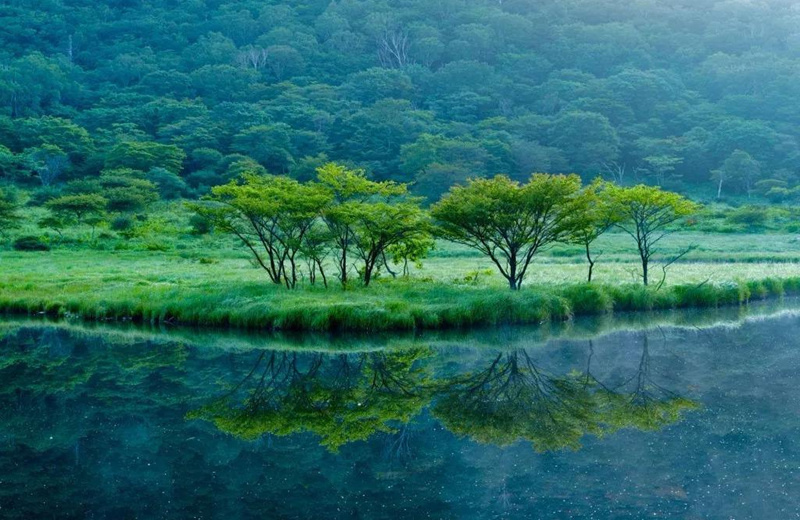 ����ɽ��Ԋ�����ף�