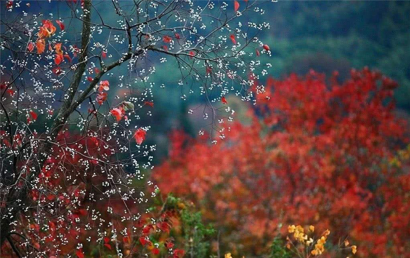 ����ɽ��Ԋ�����ף�