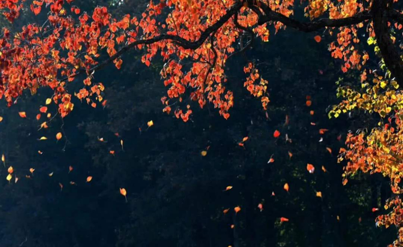 ����ɽ��Ԋ�����ף�