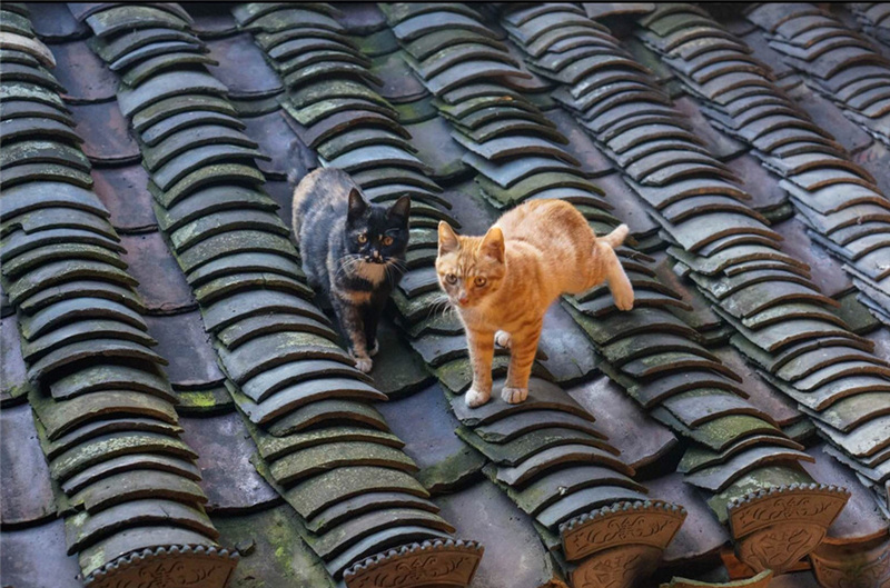 ����ɽ��Ԋ�����ף�