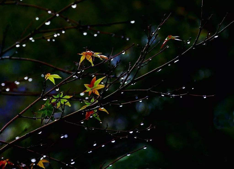 ����ɽ��Ԋ�����ף�