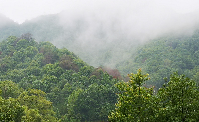 ��ã���һ��Ҫ��������ȥ�I����֪��