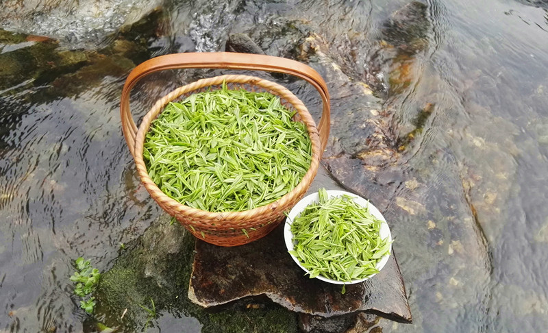 �ճ��Ȳ茦(du��)���w����������̎