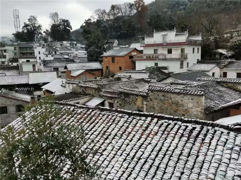 ������»�����ѩ