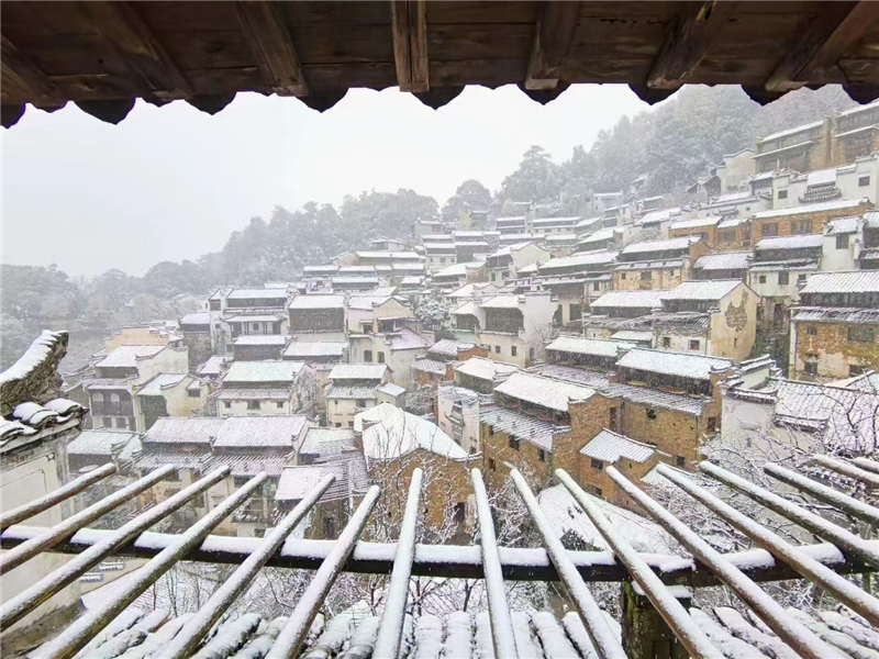 ������»�����ѩ