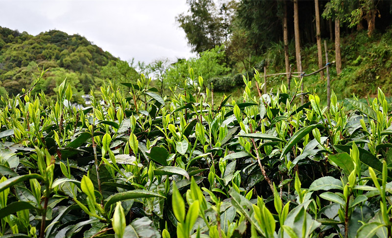 ���~�в�����Ҫ�ɷ�֪�R