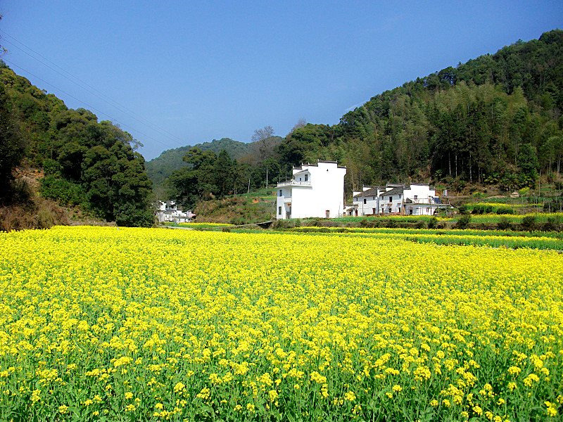 ��Դ����ͤ������