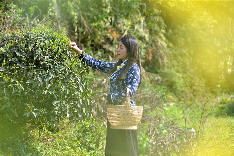 ��Դ����ͤ������