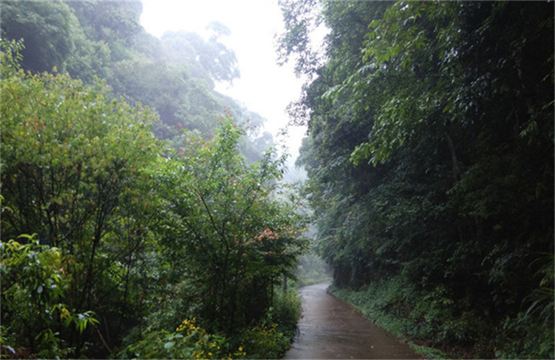 ��Դ����ͤ������