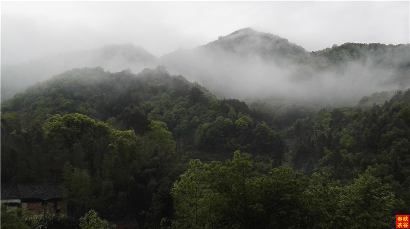 ��Դ����ͤ������