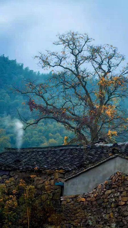 �}ʯ���y��