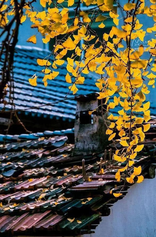 �}�y�Ӷ���